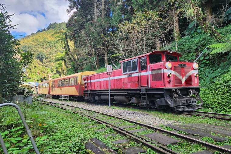 阿里山森林鐵路感受這國寶級高山鐵路那Z字型、螺旋狀…等百轉千迴鐵道旅遊的特殊體驗