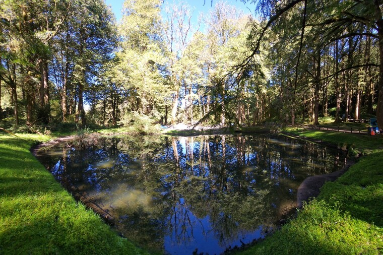 神木車站、阿里山神木遺跡、阿里山博物館、三代木（櫻木花道）、巨木群棧道